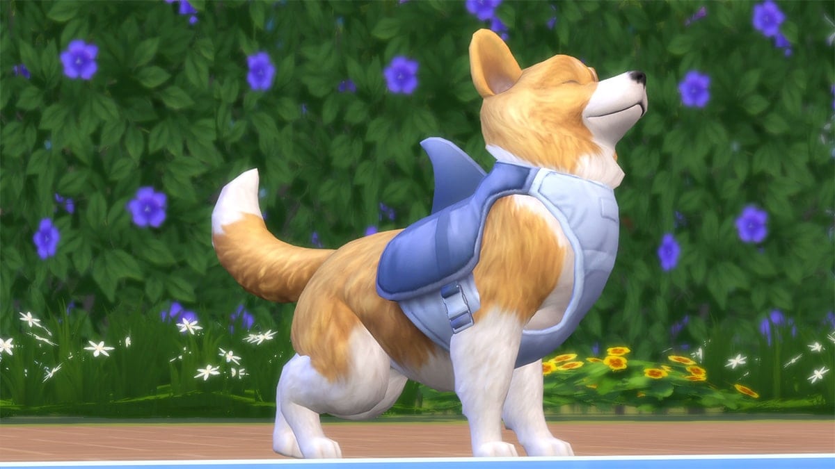 Uitbreidingspakket De Sims 4 Honden & Katten